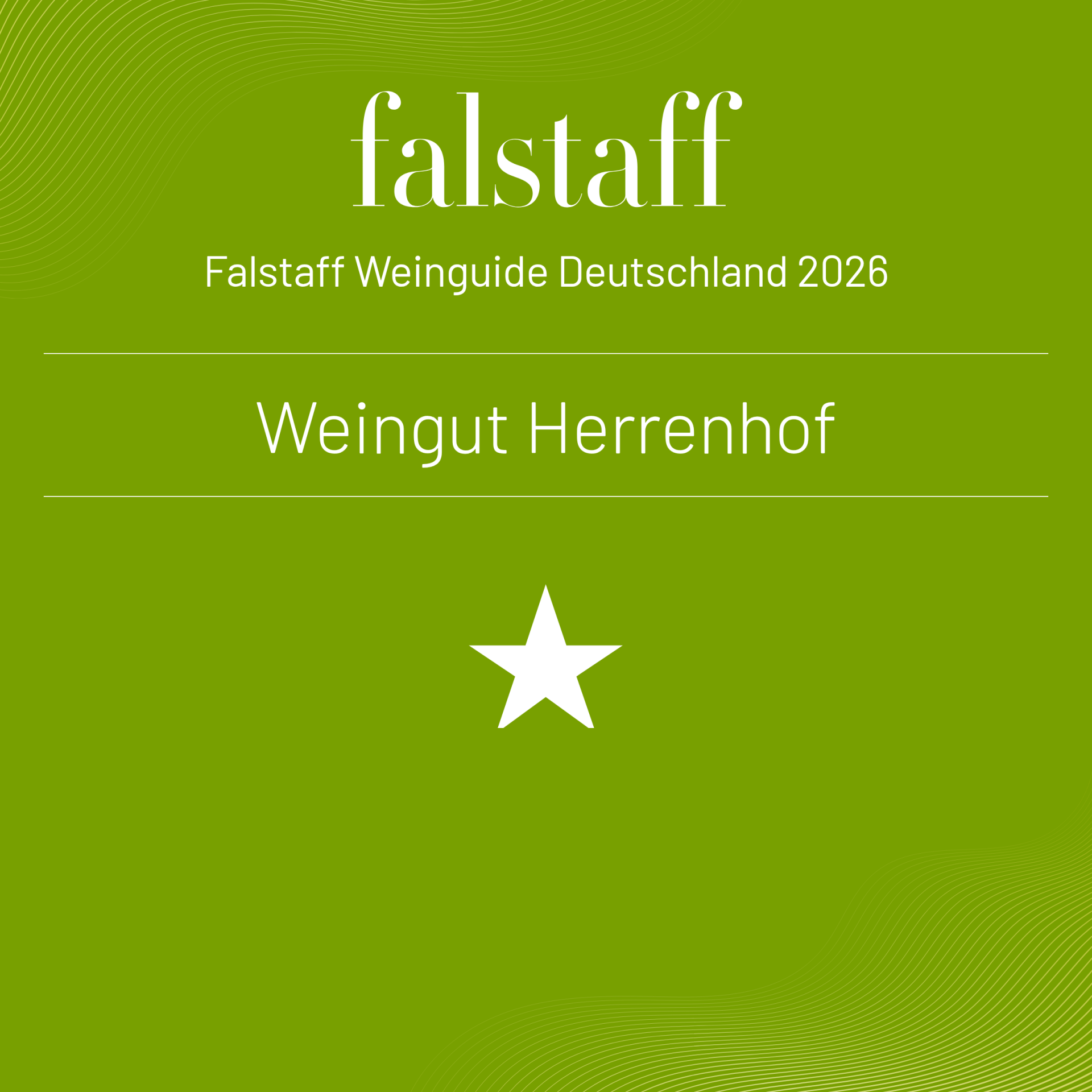 Unsere aktuellen Weine wurden in diesem Jahr erstmals vom Falstaff bewertet / Presse / Weingut | © Weingut Herrenhof